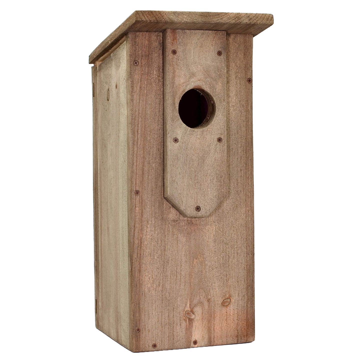 Nichoir à petite nyctale