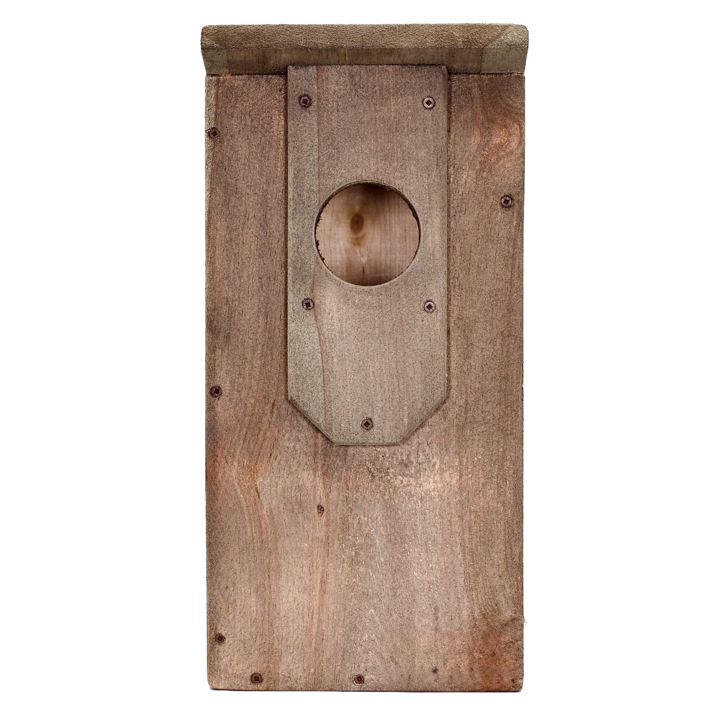 American Kestrel Nest Box
