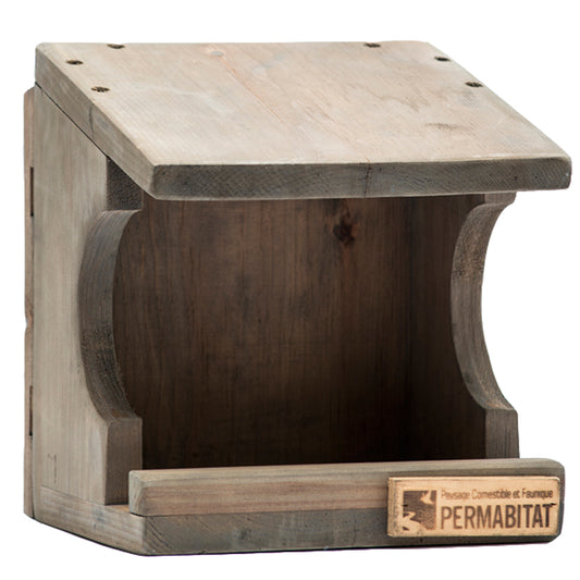 Nichoir à merle d’amérique