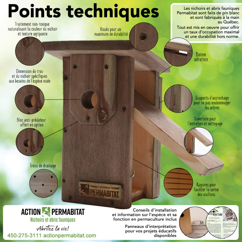 Nichoir à petite nyctale