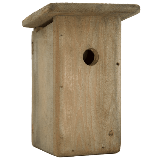 Black-capped Chickadee and Nuthatches  Nest Box